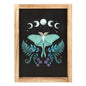 LUNA MOTH FRAMED WALL ART PRINT - The Hare and the Moon