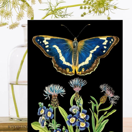 Madame Treacle Cards Blank Botanical Butterfly Greeting Card - RS180P