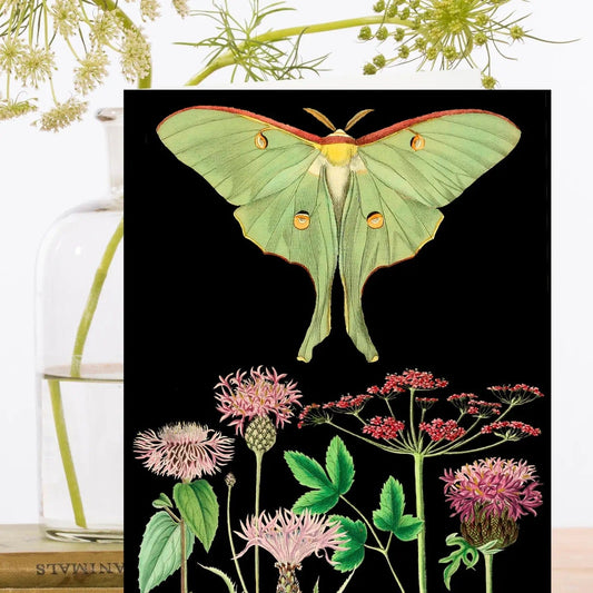 Madame Treacle Cards Blank Botanical Greeting Card - RS182P