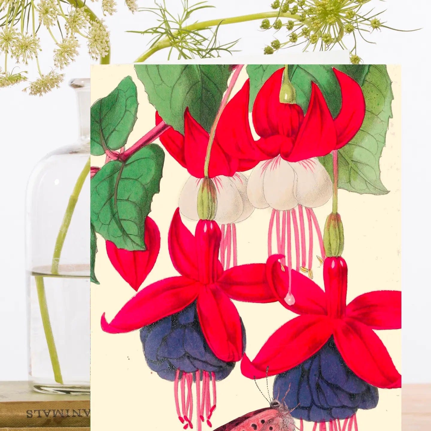Madame Treacle Cards Blank Botanical Greeting Card - RS193P