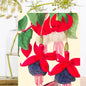 Madame Treacle Cards Blank Botanical Greeting Card - RS193P