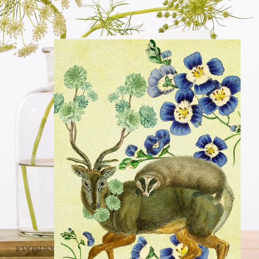 Madame Treacle Cards Blank Vintage Colour Chart Greeting Card - RS221P