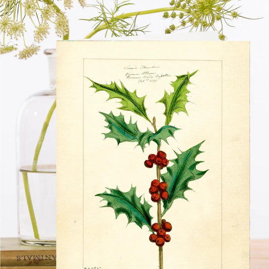 Madame Treacle Cards Christmas Greeting Card - XM114P