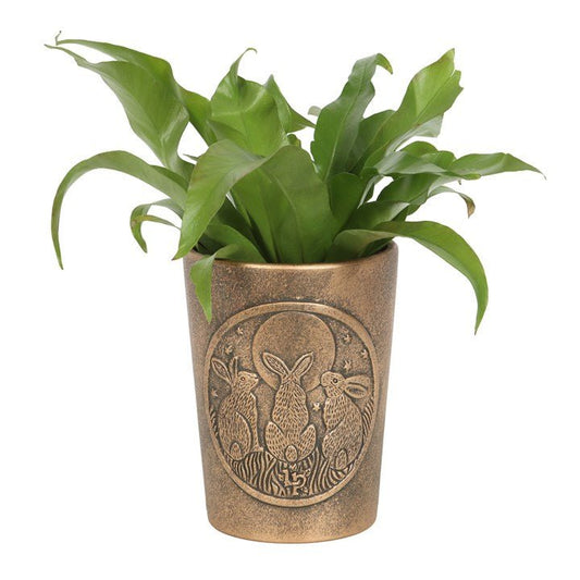 MOON SHADOWS BRONZE TERRACOTTA PLANT POT BY LISA PARKER - The Hare and the Moon