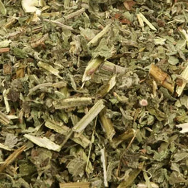 Mugwort - Witches Kitchen - WC90865
