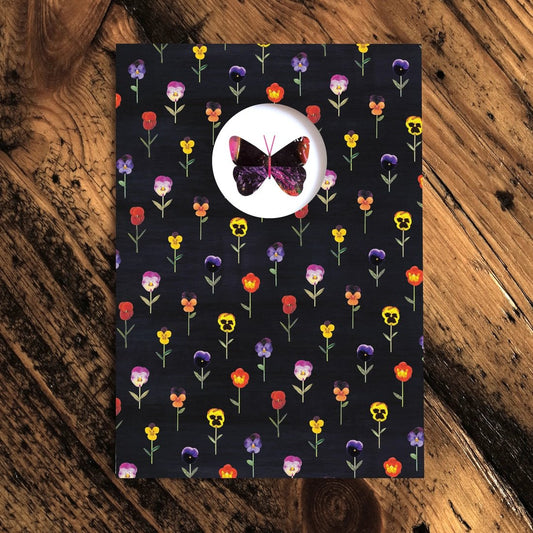 Paper Whale Cards Butterfly Greeting Card - PW3