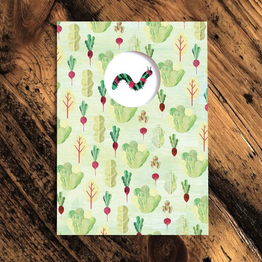 Paper Whale Cards Caterpillar Greeting Card - PW4