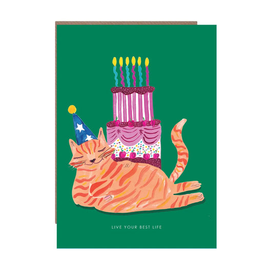 Party Cat and Huge Cake Birthday Greetings Card - HCWB432
