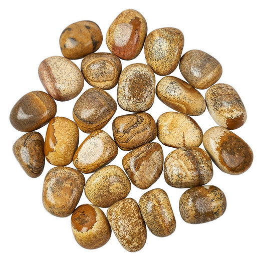 Picture Jasper Tumble Stone - The Stone of Many Stories
