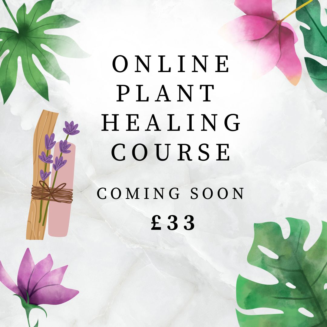 Plant Healing Course - COMING SOON