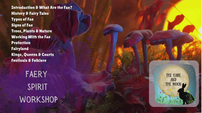 Online Faery Spirit Workshop