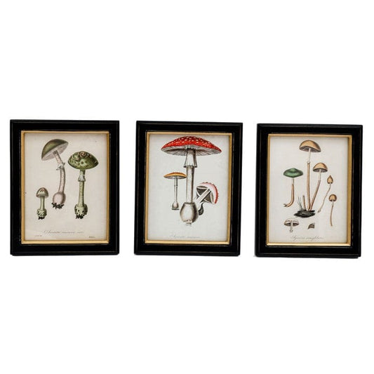 Jones Home & Gift Prints 20X25cm Fungi Framed Wall Art Print