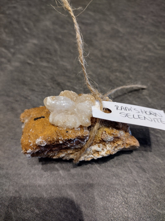 The Hare and the Moon Ram’s Horn Selenite