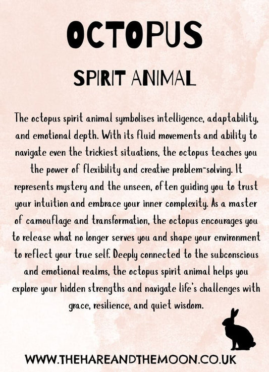 The Hare and the Moon Spirit Animal Charm - Octopus - SPA22