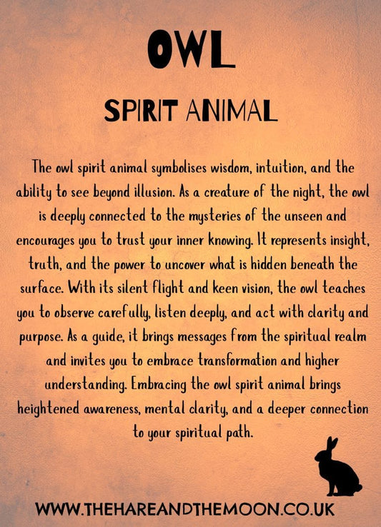 The Hare and the Moon Spirit Animal Charm - Owl - SPA22