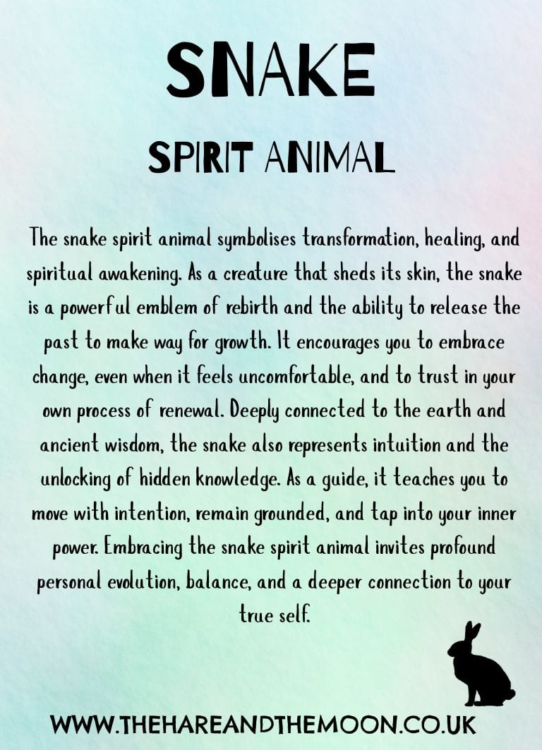 The Hare and the Moon Spirit Animal Charm - Snake - SPA22