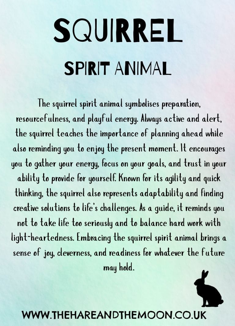 The Hare and the Moon Spirit Animal Charm - Squirrel - SPA22