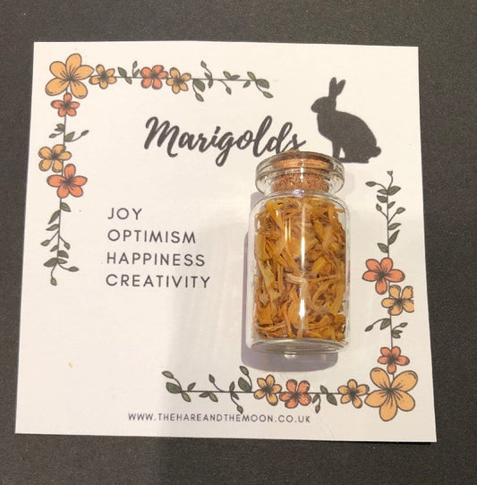 The Hare and The Moon Greeting & Note Cards Marigold Petals Charm Jar
