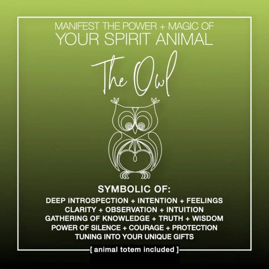 Warm Human Cards MANIFEST THE POWER + MAGIC OF YOUR SPIRIT ANIMAL THE OWL