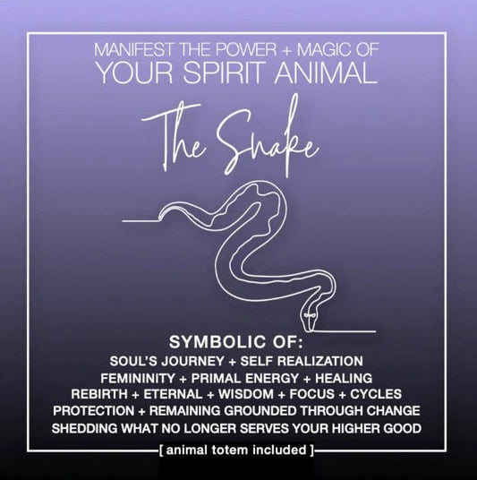 Warm Human Cards MANIFEST THE POWER + MAGIC OF YOUR SPIRIT ANIMAL THE SNAKE