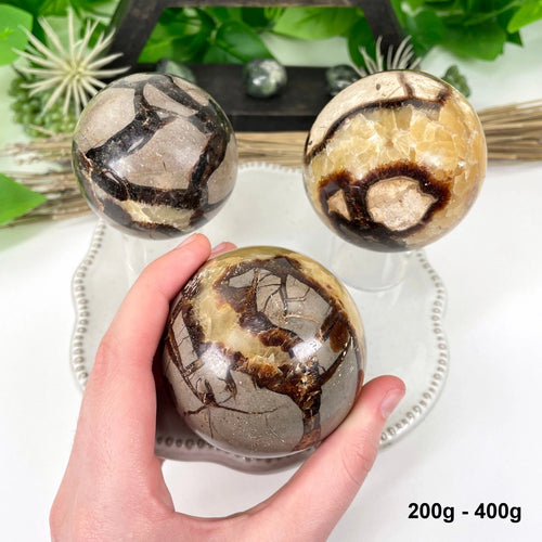 Septarian Polished Sphere - The Stone of Privacy - SH21 - The Hare and the Moon