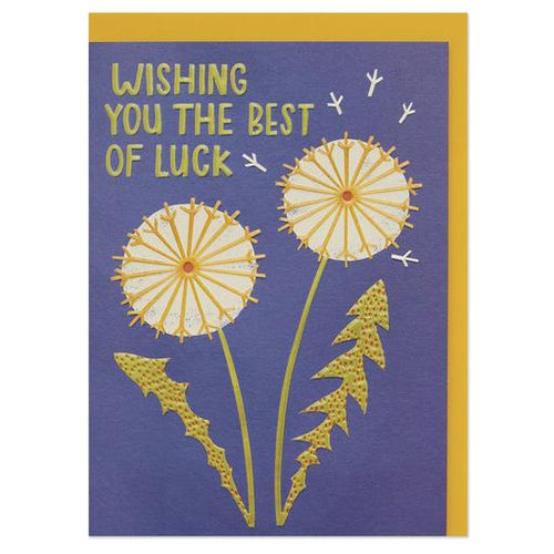 Wishing you the best luck' dandelion illustration good luck Greeting Card - RBL918 freeshipping - The Hare and the Moon