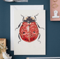 DM Cards Ladybird Greeting Card - DM25
