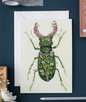 DM Cards Stag Beetle Greeting Card - DM8
