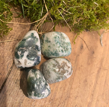 Load image into Gallery viewer, Tree Jasper Tumble Stone - The Stone of Belonging - TS710

