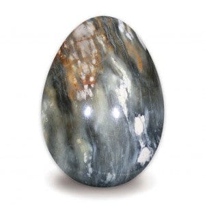 The Hare and The Moon Crystals Petrified Wood Egg - Stone of Perseverance & Patience - EG335