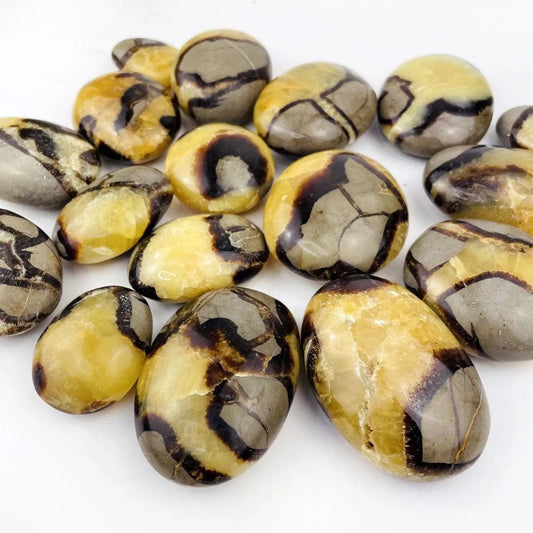 The Hare and The Moon Crystals Septarian Palmstone - The Stone of Privacy - PS212