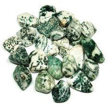 Load image into Gallery viewer, Tree Agate Tumble Stone - The Stone of Belonging - TS710 freeshipping - The Hare and the Moon
